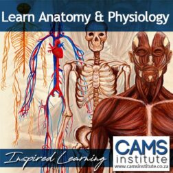 Anatomy and Physiology Certificate Course