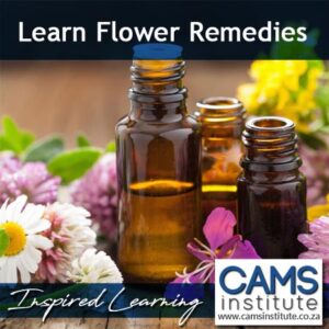 Flower Remedies Course