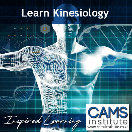 Applied Kinesiology Course