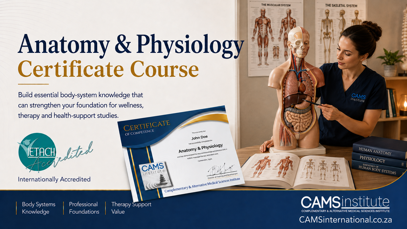 Anatomy and Physiology Certificate Course